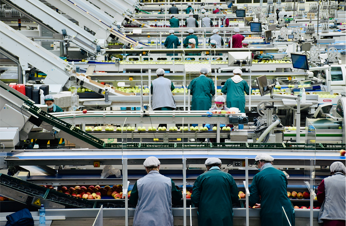 People working in a food processing facility.