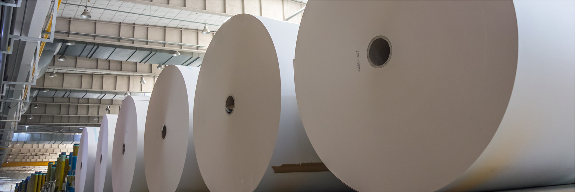 Industrial rolls of a paper product.